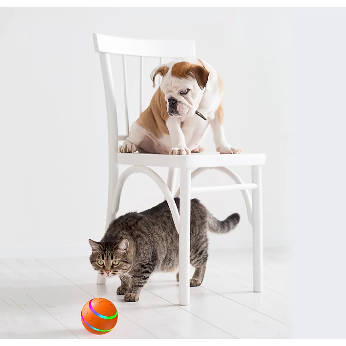 Pet New Cat Wicked Ball Toy Intelligent Ball USB Cat Toys Self Rotating Ball - Image 8