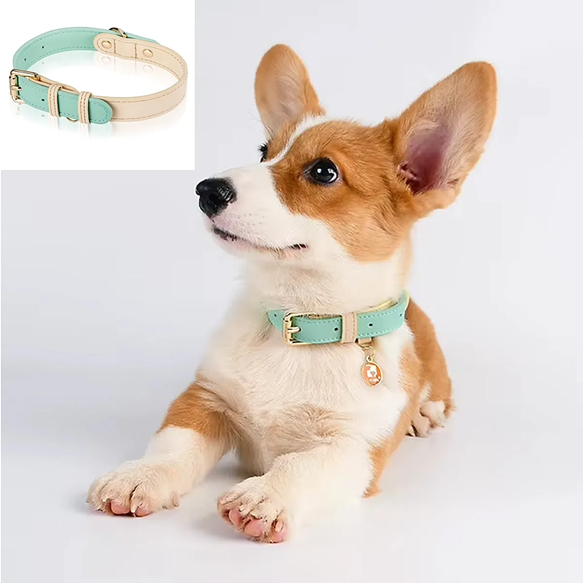 S M L Dog Collar, Leather Dog Collar, For Small, Medium, And Large Dogs, Basic - Image 5