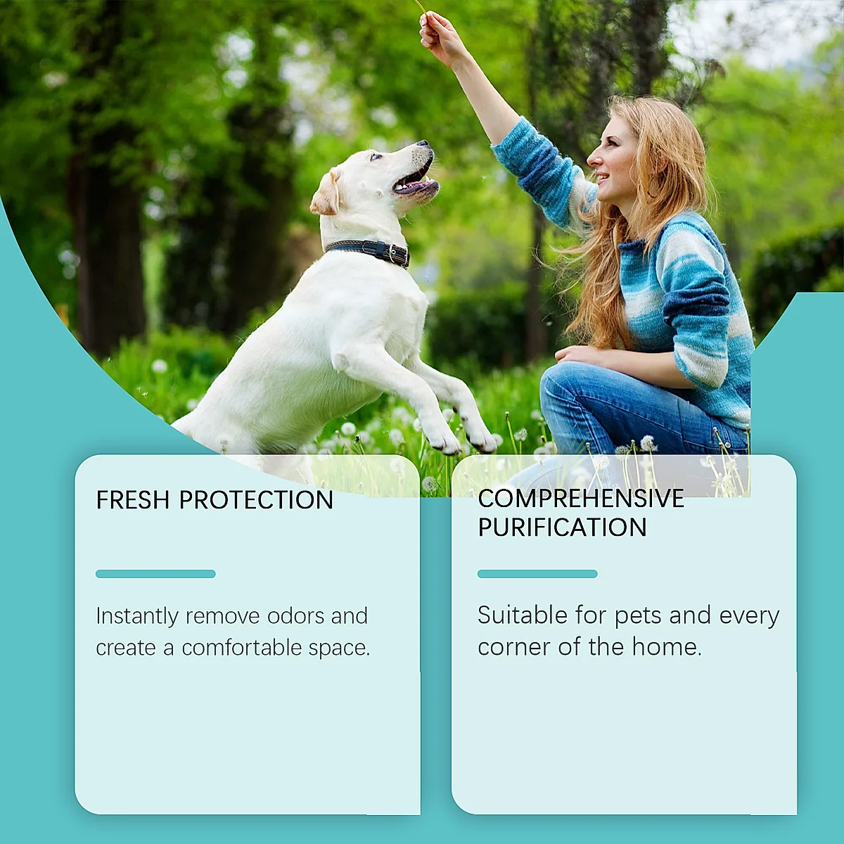 Pet Deodorant Spray, Gentle Pet Odor Eliminator For Dogs & Cats, Instantly - Image 4