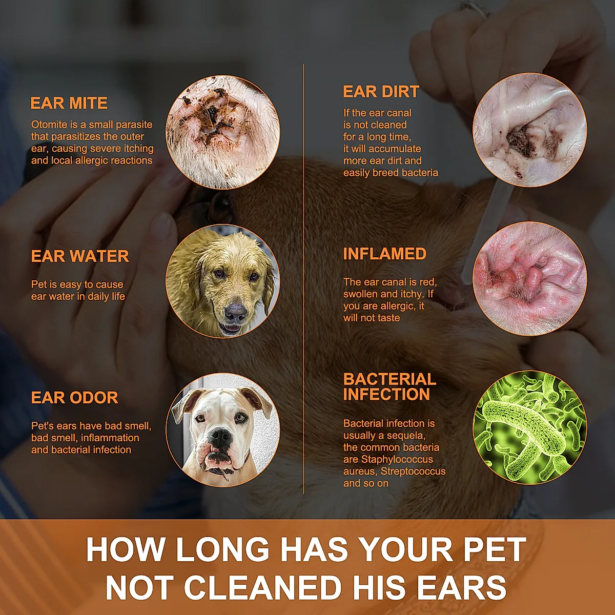 Pet Ear Cleaner Drops, Dog & Cat Ear Care Solution With Aloe, Glycerin & Tea - Image 4
