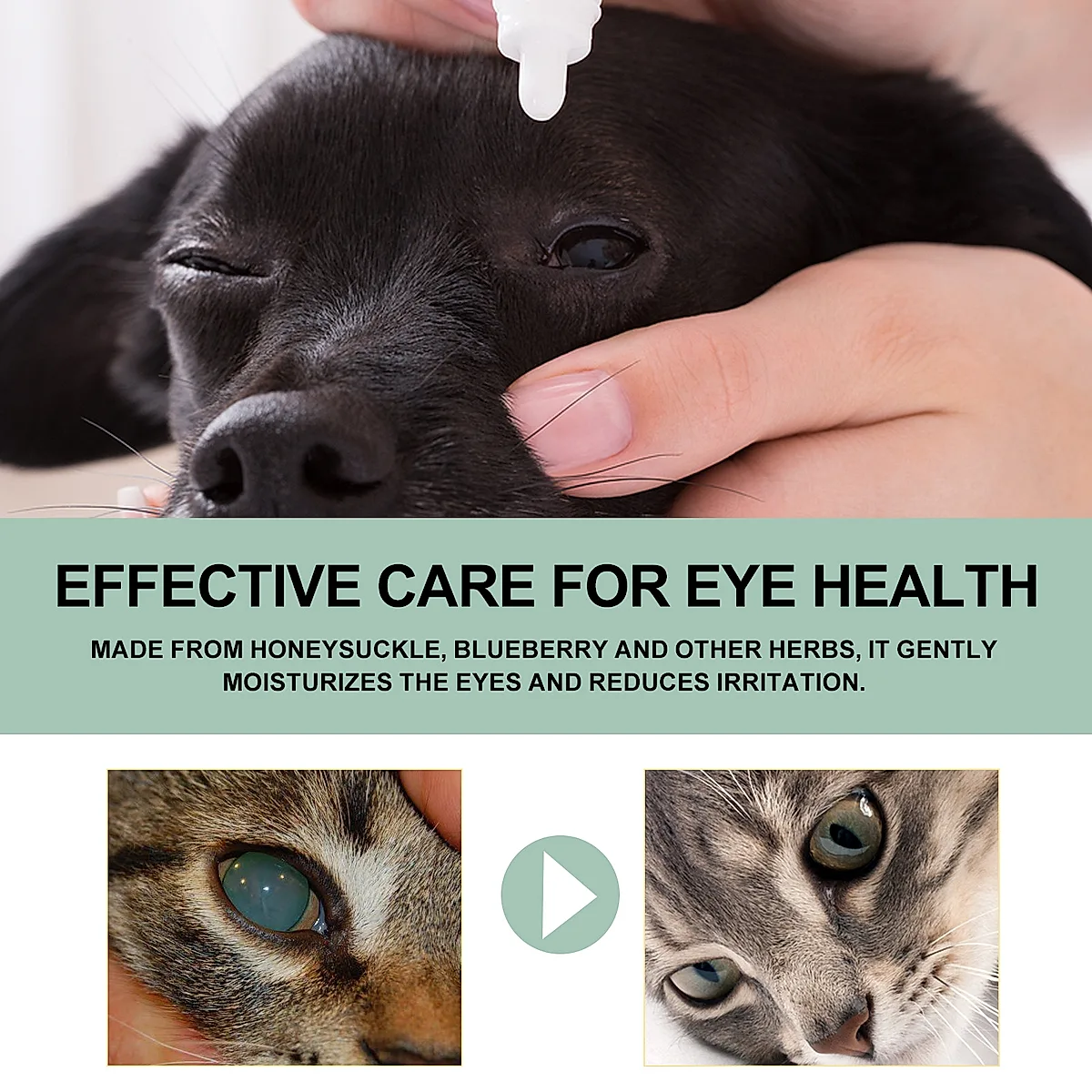 Pet Eye Drops For Dogs & Cats, Gentle Eye Cleaner With Honeysuckle Oil & - Image 2