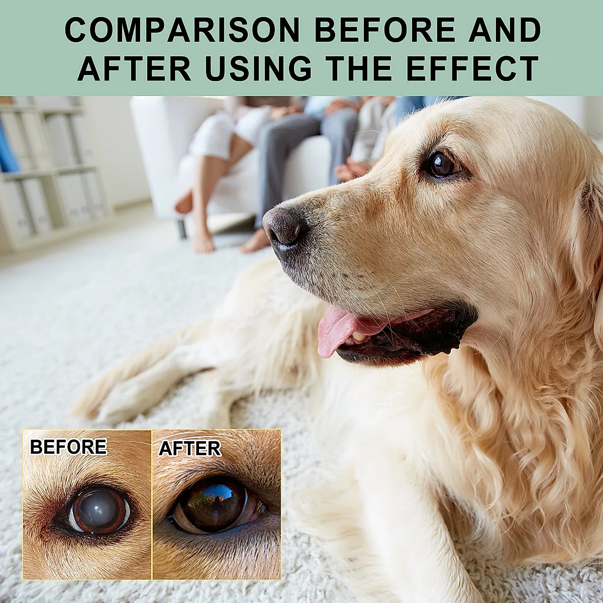 Pet Eye Drops For Dogs & Cats, Gentle Eye Cleaner With Honeysuckle Oil & - Image 6