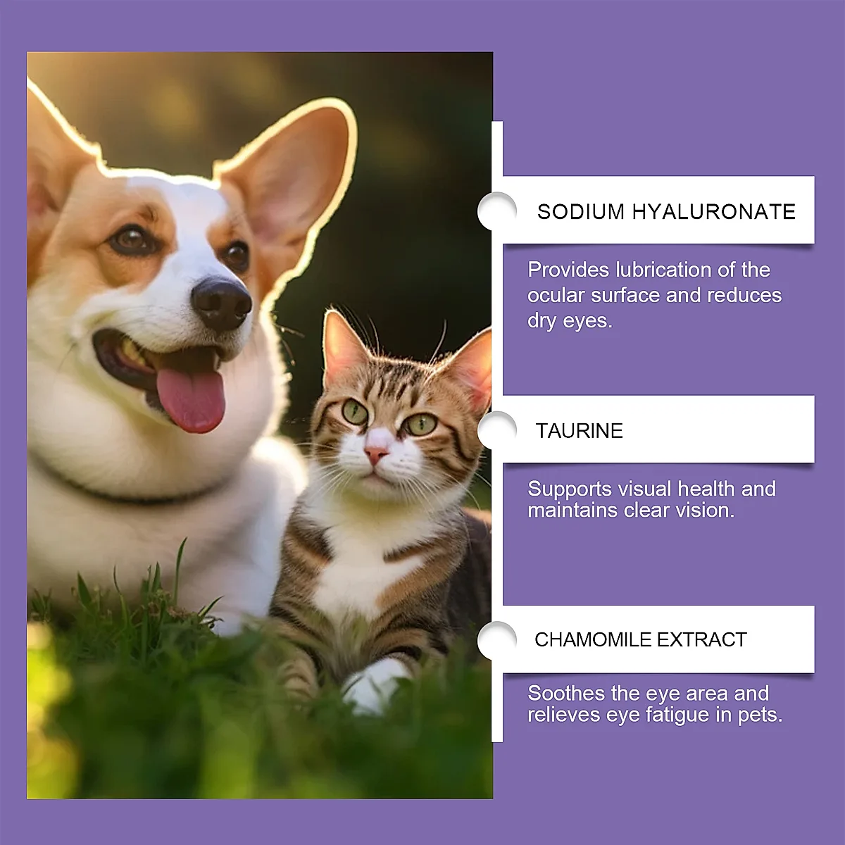 Pet Eye Rinse For Dogs & Cats, Gentle Eye Cleaner Solution With Hyaluronic - Image 2