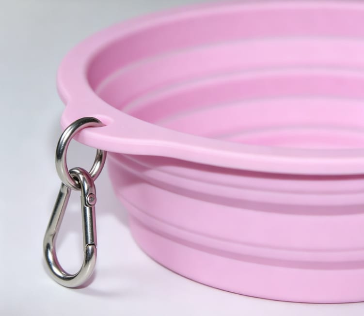 Collapsible Silicone Pet Travel Bowl - Portable Food & Water - Image 3